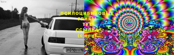 гидропоника Абинск